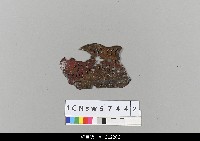 藏品(中國湖北皮影戲盔帽)的圖片